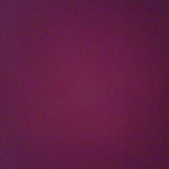 Meet your Posher, Tyra - Picture 1 of 1